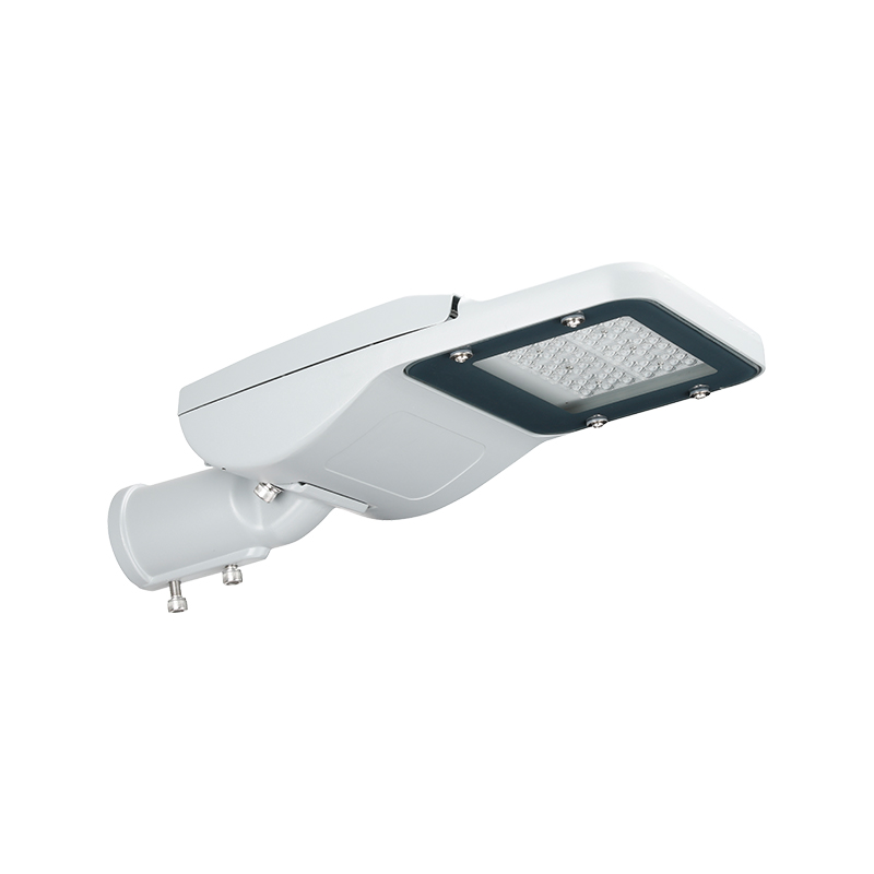 Adjustable PACIFIC PRO Series DUXERIT Street lux pro Publica Lighting